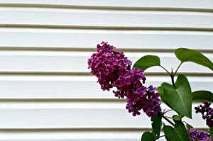 重大发现“天蝎炸/金/花可以开挂吗”［原来真的有挂］