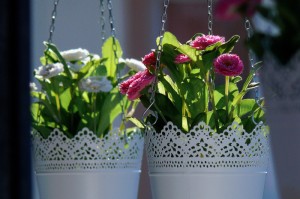 第一攻略.“花花生活圈到底有没有挂”辅助开挂教程