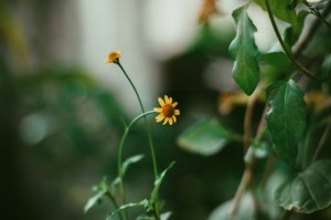 [分享]“花花生活圈到底有没有挂”原来可以开挂