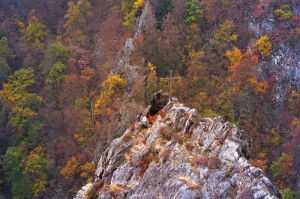 寻找一款“决胜山西麻将怎么开挂”玩家曝光开挂流程
