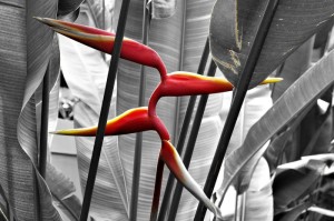 推荐一款“欢乐游透视挂辅助器下载”(的确有挂)