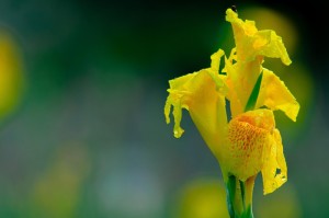 重大通报.“水仙大厅其实是有挂的”原来真的有挂