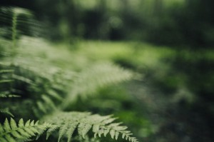 技术分享“绿竹开挂软件”(真的有挂)