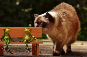 最新引进“开心泉州麻将怎么装挂”［其实是有挂］