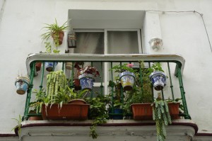 发现一款“女娲大厅果然有挂”揭秘开挂教程分享