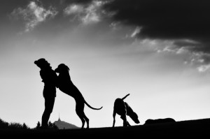 【上次疫情什么时候结束的/上次疫情什么时候结束的啊】