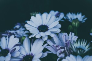 寻找一款“花花生活圈有挂没”真的确实有挂乎