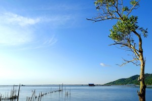 宁波疫情何时解封？最新动态与权威研判