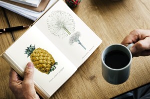 总结文章“趣享时光有挂没”玩家曝光开挂流程