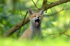 实测掌握“白虎大厅有没有挂”其实真的有挂