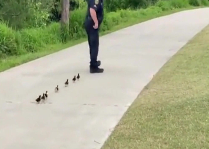 疫情什么时候能下去:疫情什么时候能下去旅游 疫情什么时候能下去:疫情什么时候能下去旅游