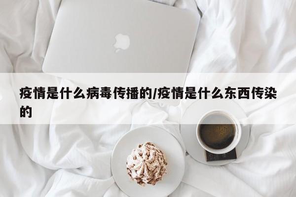 疫情是什么病毒传播的/疫情是什么东西传染的